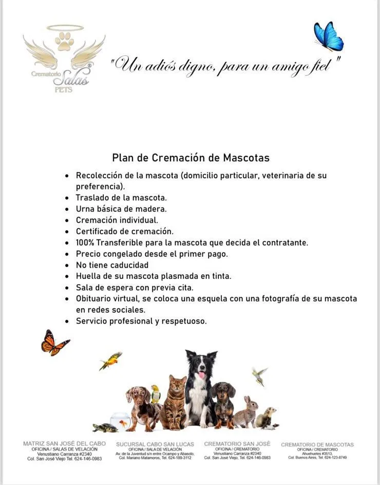 Beneficios de planes de cremacion para mascotas